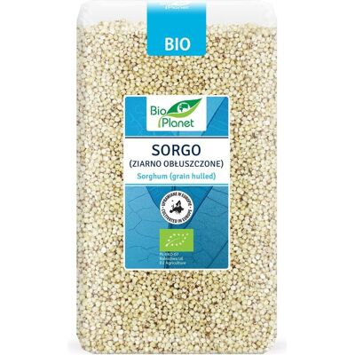 BIO PLANET Sorgho Biologique avec Coquille - 1kg - Publicité BIO PLANET Sorgho Biologique avec Coquille - 1kg - Publicité