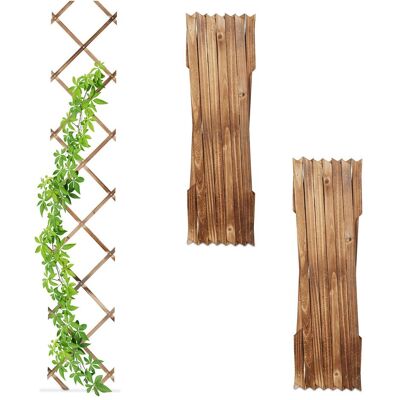 RELAXDAYS - Treillis en Bois pour Plantes Grimpantes - 180x30 cm - Jardin - Publicité RELAXDAYS - Treillis en Bois pour Plantes Grimpantes - 180x30 cm - Jardin - Publicité