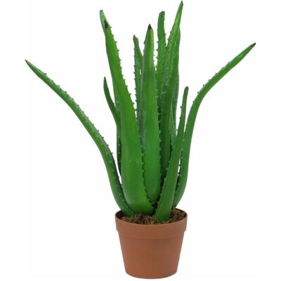 Europalms, Plantes artificielles, Aloe-Vera (63 cm) - Publicité Europalms, Plantes artificielles, Aloe-Vera (63 cm) - Publicité