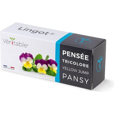 Véritable, Graines, Bio-Stiefmütterchen (Graines de plantes) - Publicité Véritable, Graines, Bio-Stiefmütterchen (Graines de plantes) - Publicité