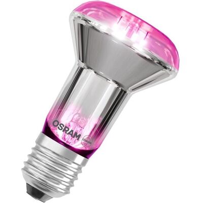 Lampe de croissance LEDVANCE - Éclairage intérieur pour plantes - Publicité Lampe de croissance LEDVANCE - Éclairage intérieur pour plantes - Publicité