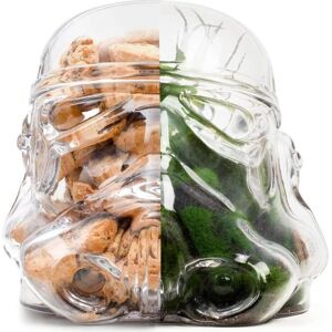 Thumbs Up Original Stormtrooper Vorratsdose / Terrarium Trooper, Boîte de conservation, Transparent - Publicité Thumbs Up Original Stormtrooper Vorratsdose / Terrarium Trooper, Boîte de conservation, Transparent - Publicité