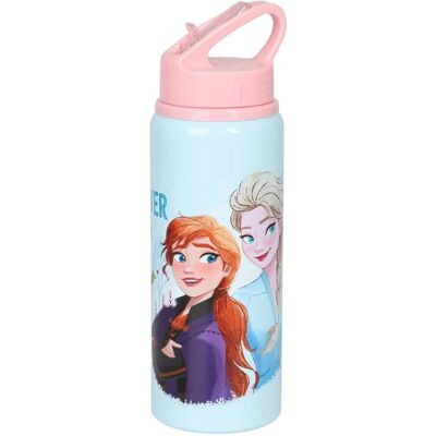 Disney Gourde + bouteille isotherme, (0.73 l) - Publicité Disney Gourde + bouteille isotherme, (0.73 l) - Publicité