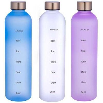 alpina, Gourde + bouteille isotherme, (1 l) - Publicité alpina, Gourde + bouteille isotherme, (1 l) - Publicité