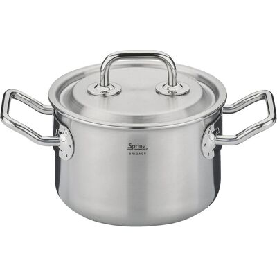 Spring Marmite avec couvercle Brigade Premium ø 14 cm, Poêle + casserole, Argent - Publicité Spring Marmite avec couvercle Brigade Premium ø 14 cm, Poêle + casserole, Argent - Publicité