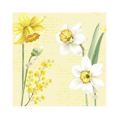 Duni, Serviettes de table, Servietten Spring Narzisse 20 Stk. 33×33 cm (20 pcs, 33 x 33 cm) - Publicité Duni, Serviettes de table, Servietten Spring Narzisse 20 Stk. 33×33 cm (20 pcs, 33 x 33 cm) - Publicité