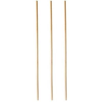 Papstar Pailles pure, Pailles, Beige - Publicité Papstar Pailles pure, Pailles, Beige - Publicité