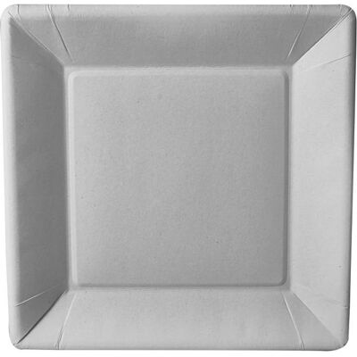 Papstar, Vaisselle de pique-nique, Assiette en carton (50x) - Publicité Papstar, Vaisselle de pique-nique, Assiette en carton (50x) - Publicité