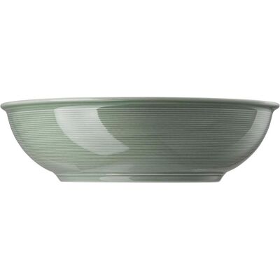 Thomas Vert Mousse 32 cm Bol en Porcelaine - Publicité Thomas Vert Mousse 32 cm Bol en Porcelaine - Publicité