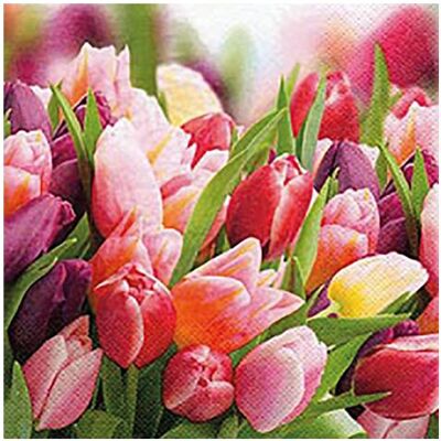 Magni, Serviettes de table, Serviette de table 24x24cm Pink & Violet Tulips (20 pcs, 24 x 24 cm) - Publicité Magni, Serviettes de table, Serviette de table 24x24cm Pink & Violet Tulips (20 pcs, 24 x 24 cm) - Publicité