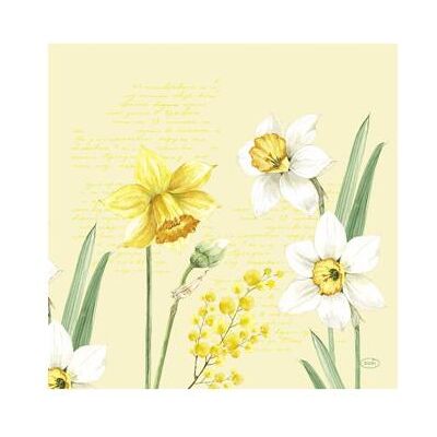 Duni, Serviettes de table, Servietten Spring Narzisse 12 Stk. 40×40 cm (12 pcs, 40 x 40 cm) - Publicité Duni, Serviettes de table, Servietten Spring Narzisse 12 Stk. 40×40 cm (12 pcs, 40 x 40 cm) - Publicité