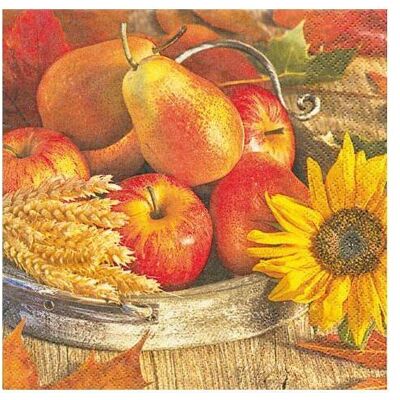 Magni, Serviettes de table, Motivserviette (20 pcs, 33 x 33 cm) - Publicité Magni, Serviettes de table, Motivserviette (20 pcs, 33 x 33 cm) - Publicité