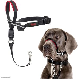 harnais pour chien Halti OptiFit - Noir - Publicité harnais pour chien Halti OptiFit - Noir - Publicité
