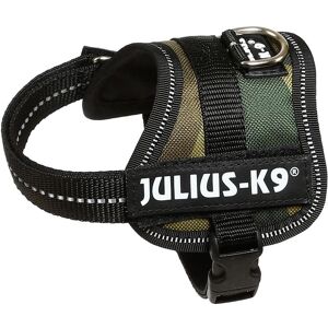 Julius-K9 Harnais de puissance pour petits chiens ergonomique (XS, Chien, Général), Collier + laisse - Publicité Julius-K9 Harnais de puissance pour petits chiens ergonomique (XS, Chien, Général), Collier + laisse - Publicité