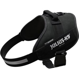 Julius-K9 Harnais de puissance IDC 3/XL (XL, Chien, Général), Collier + laisse - Publicité Julius-K9 Harnais de puissance IDC 3/XL (XL, Chien, Général), Collier + laisse - Publicité