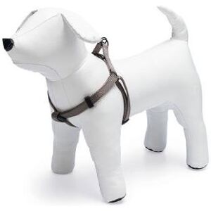 Karlie ASP+ Harnais 1-2-3 Step&Go (Chien, Sport canin), Collier + laisse - Publicité Karlie ASP+ Harnais 1-2-3 Step&Go (Chien, Sport canin), Collier + laisse - Publicité