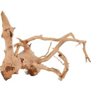 Zolux Araignée racine japonaise - Décoration d'aquarium - Publicité Zolux Araignée racine japonaise - Décoration d'aquarium - Publicité