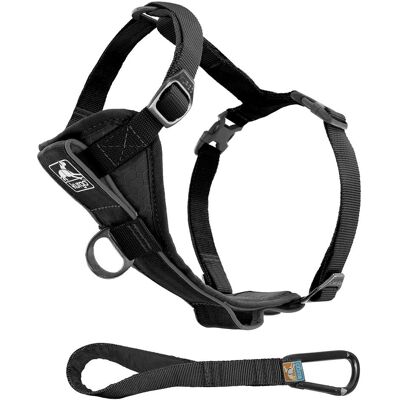 Harnais intelligent Kurgo Tru-Fit Smart - Petit, Noir, Réglable - Publicité Harnais intelligent Kurgo Tru-Fit Smart - Petit, Noir, Réglable - Publicité