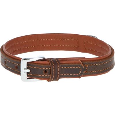 Collier KERBL Vegas HQ Cuir pour Chien - Type de Chien - Publicité Collier KERBL Vegas HQ Cuir pour Chien - Type de Chien - Publicité