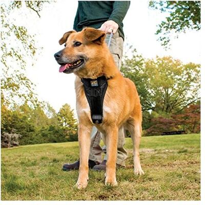 Kurgo Tru-Fit Smart Harnais pour Animaux - Harnais - Publicité Kurgo Tru-Fit Smart Harnais pour Animaux - Harnais - Publicité