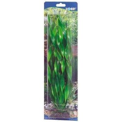 Vallisneria 20 Cm - Plante d'Aquarium - Publicité Vallisneria 20 Cm - Plante d'Aquarium - Publicité