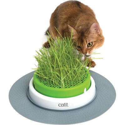 Potager d'herbe Senses 2.0 de Catit - Kit Jardin d'Herbe pour Chats - Publicité Potager d'herbe Senses 2.0 de Catit - Kit Jardin d'Herbe pour Chats - Publicité