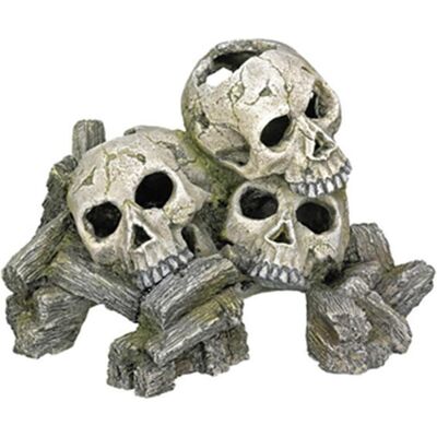 Nobby Décoration d'aquarium Têtes de mort, 23x16x14.5cm (Décoration, autres éléments), Décoration d'aquarium - Publicité Nobby Décoration d'aquarium Têtes de mort, 23x16x14.5cm (Décoration, autres éléments), Décoration d'aquarium - Publicité