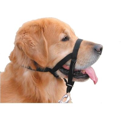 Nobby Easy Leader - Collier et laisse pour chien - Publicité Nobby Easy Leader - Collier et laisse pour chien - Publicité