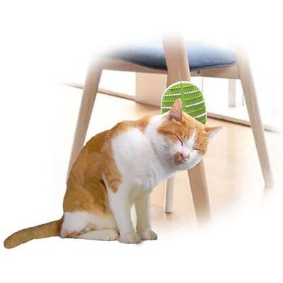 All for Paws Groomer 2 En 1 20.3X11X2,2Cm - (781.1025) (Chat), Équipement de toilettage - Publicité All for Paws Groomer 2 En 1 20.3X11X2,2Cm - (781.1025) (Chat), Équipement de toilettage - Publicité