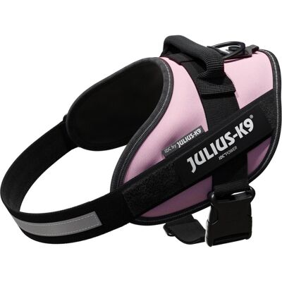 Julius-K9 Harnais Rose pour Chiens - Design Sportif et Ergonomique - Publicité Julius-K9 Harnais Rose pour Chiens - Design Sportif et Ergonomique - Publicité