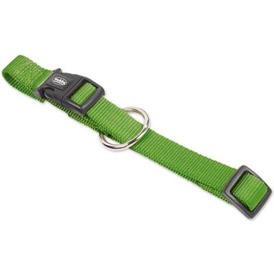 NOBBY NB HB CLAS VERT 50-65CM 25MM - Collier - Publicité NOBBY NB HB CLAS VERT 50-65CM 25MM - Collier - Publicité
