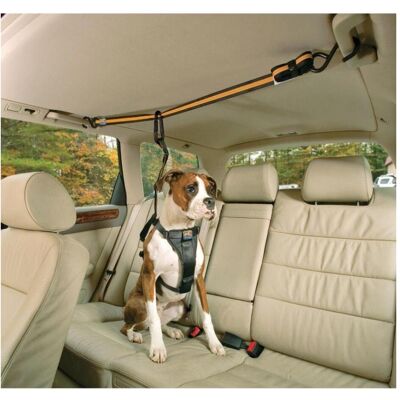 Kurgo Auto Zip Line & Leash - Sécurité pour animaux en voiture - Publicité Kurgo Auto Zip Line & Leash - Sécurité pour animaux en voiture - Publicité