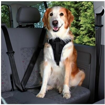 Trixie Harnais pour voiture Dog Protect (Chien), Transport d'animaux - Publicité Trixie Harnais pour voiture Dog Protect (Chien), Transport d'animaux - Publicité