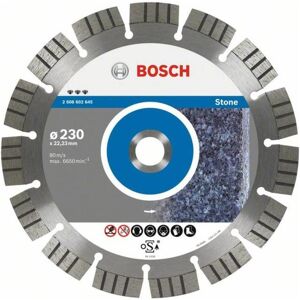 Bosch Disque Diamant 150x22 Seg Stone - Disque de coupe diamanté - Publicité Bosch Disque Diamant 150x22 Seg Stone - Disque de coupe diamanté - Publicité