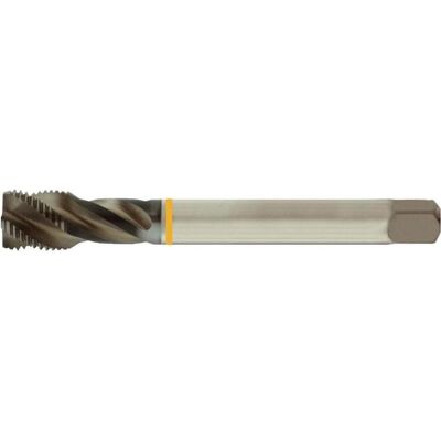 Forum M10 x 0,75 Filetage fin - Taraud pour trous borgnes - Publicité Forum M10 x 0,75 Filetage fin - Taraud pour trous borgnes - Publicité