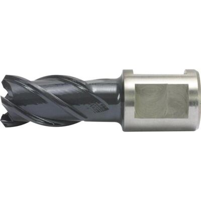 ALFRA - Perceuse à noyau - Revêtement diamanté, profondeur 25mm, ø 31mm - Publicité ALFRA - Perceuse à noyau - Revêtement diamanté, profondeur 25mm, ø 31mm - Publicité