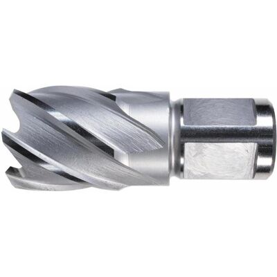 Alfra 36/30mm Trépano de noyau - Mèche pour 25mm de profondeur - Publicité Alfra 36/30mm Trépano de noyau - Mèche pour 25mm de profondeur - Publicité