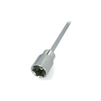 CARTREND 10683 Extension pour caravane - Compatible avec perceuses - Publicité CARTREND 10683 Extension pour caravane - Compatible avec perceuses - Publicité