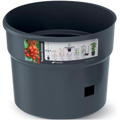 Prosperplast, Bac à compost + sac de jardinage, Doniczka Do Sadzenia Pomidorów Z Drabinką Pojemność 18l (18 l) - Publicité Prosperplast, Bac à compost + sac de jardinage, Doniczka Do Sadzenia Pomidorów Z Drabinką Pojemność 18l (18 l) - Publicité