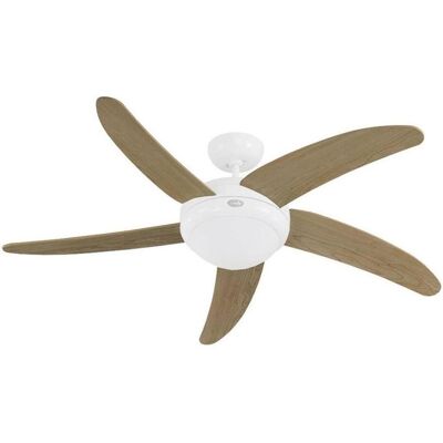 CasaFan 19176 Ensemble de pales pour ventilateur de plafond - Ceiling Fan Blades Set - Publicité CasaFan 19176 Ensemble de pales pour ventilateur de plafond - Ceiling Fan Blades Set - Publicité