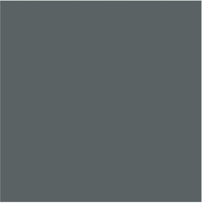 PLOTTIX Feuille de vinyle gris foncé - Adhesif permanent - 31,5cm x 1m - Publicité PLOTTIX Feuille de vinyle gris foncé - Adhesif permanent - 31,5cm x 1m - Publicité
