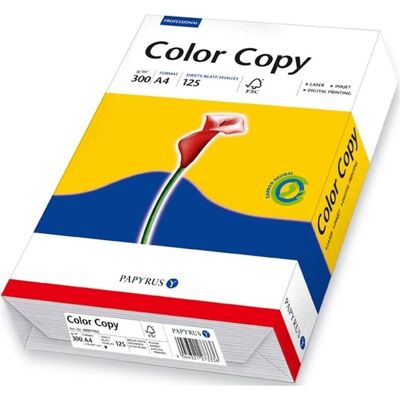 Mondi, Papier, Farbkopierpapier (A4, 125 feuilles, 300 g/m²) - Publicité Mondi, Papier, Farbkopierpapier (A4, 125 feuilles, 300 g/m²) - Publicité