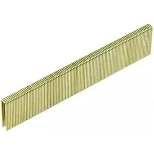 Pansam, Clou + agrafe pour agrafeuse, Agrafes pour agrafeuse pneumatique 16mm 2500pcs - A536206 - Publicité Pansam, Clou + agrafe pour agrafeuse, Agrafes pour agrafeuse pneumatique 16mm 2500pcs - A536206 - Publicité