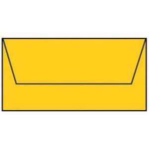 Magni, Enveloppes, 220702543 - Coloretti Enveloppes, 80 g/m², DIN long, jaune d'or, 5 pièces (220 x 110 mm, 5x) - Publicité Magni, Enveloppes, 220702543 - Coloretti Enveloppes, 80 g/m², DIN long, jaune d'or, 5 pièces (220 x 110 mm, 5x) - Publicité