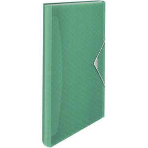 Esselte, Porte-documents, Colour'Ice (A4, 1x) - Publicité Esselte, Porte-documents, Colour'Ice (A4, 1x) - Publicité