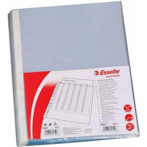 Esselte, Porte-documents, 46099 (A4, 100x) - Publicité Esselte, Porte-documents, 46099 (A4, 100x) - Publicité