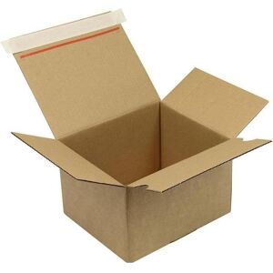 Transpak, Emballage + boîte d'expédition, Carton automatique 1 paroi fond automatique dimensions 210x180x130mm Qualité SK 1.3B marron marron (40 pcs, 21 x 18 x 13 cm) - Publicité Transpak, Emballage + boîte d'expédition, Carton automatique 1 paroi fond automatique dimensions 210x180x130mm Qualité SK 1.3B marron marron (40 pcs, 21 x 18 x 13 cm) - Publicité