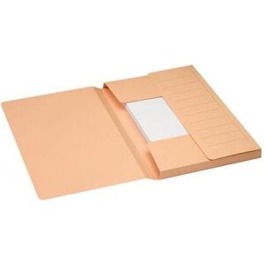 Tarifold, Porte-documents, Porte-documents Djois Secolor A4 carton manila 240 mm x 350 mm (A4, 1x) - Publicité Tarifold, Porte-documents, Porte-documents Djois Secolor A4 carton manila 240 mm x 350 mm (A4, 1x) - Publicité