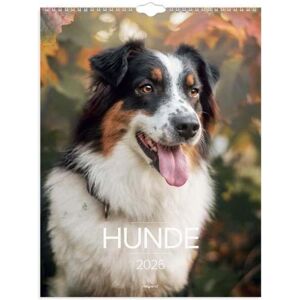 Mayland-Burde, Calendrier + agenda, Vgkalender chiens 2026 - Publicité Mayland-Burde, Calendrier + agenda, Vgkalender chiens 2026 - Publicité