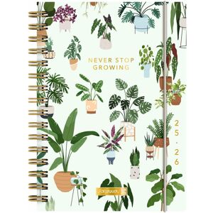Baier & Schneider, Agenda, BRUNNEN Schlerkalender (2025/2026) 'Little Plants', 1 Seite = 1 Tag, A5, 352 Seiten, PP-Umschla (A5, 1 jour / 1 page) - Publicité Baier & Schneider, Agenda, BRUNNEN Schlerkalender (2025/2026) 'Little Plants', 1 Seite = 1 Tag, A5, 352 Seiten, PP-Umschla (A5, 1 jour / 1 page) - Publicité